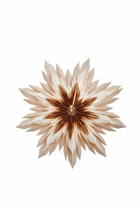 Hovedbilde Marta 60 brun