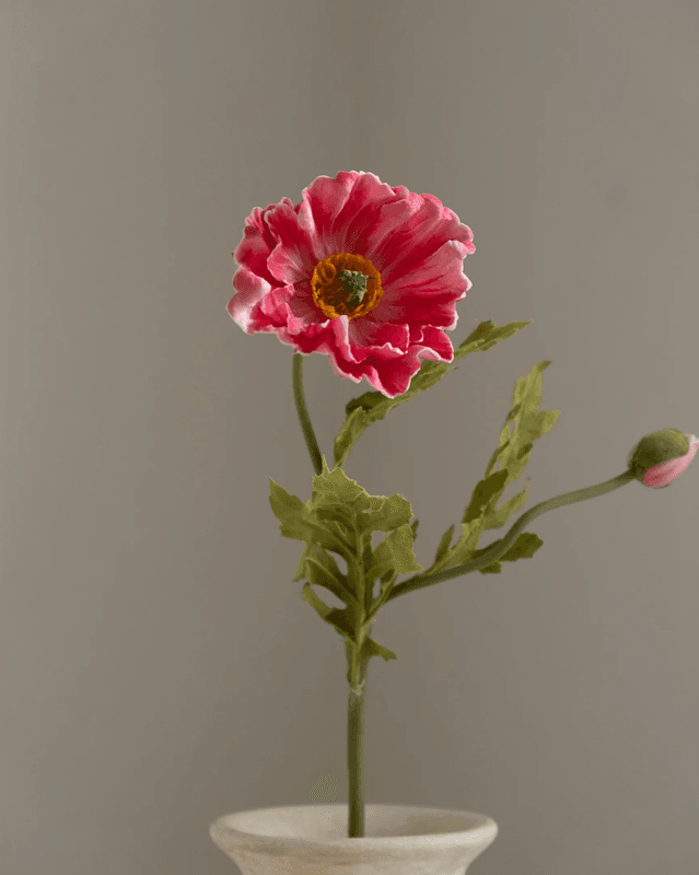 Poppy Flower Medium