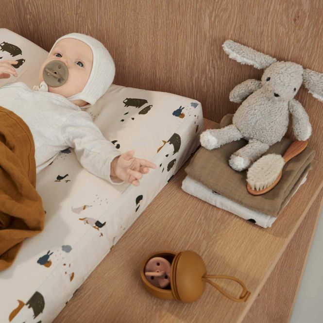 Hovedbilde Phillip Pacifier box