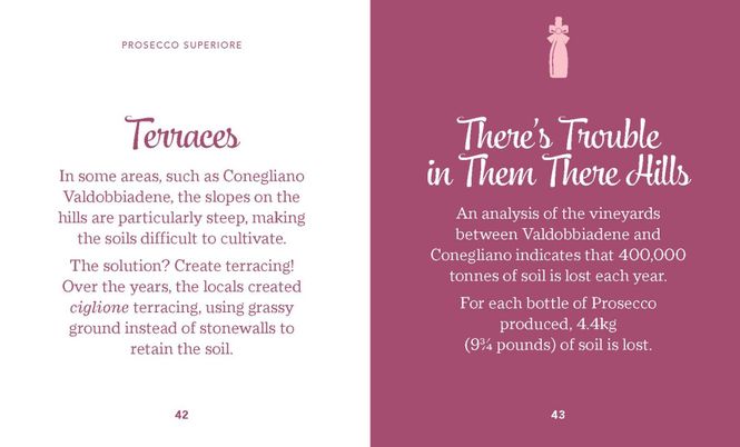 Hovedbilde The Little Book Of Prosecco