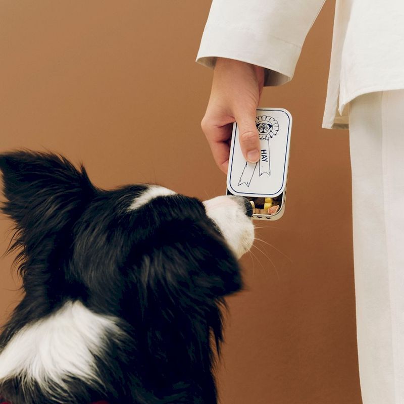 HAY Dogs Treat Tin