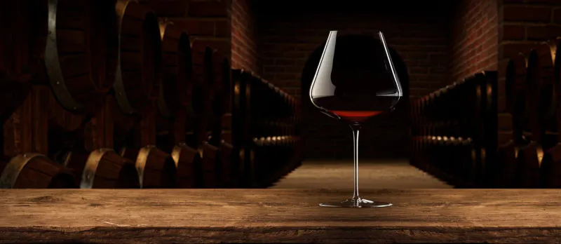 Zalto Denk`Art Burgund