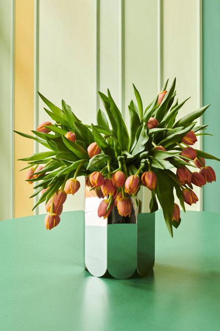 Hovedbilde Arcs Vase - Mirror 