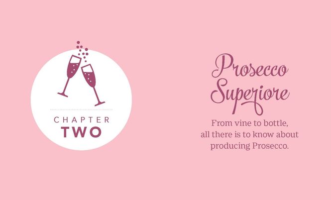Hovedbilde The Little Book Of Prosecco