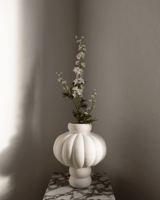 Hovedbilde Delphinium Flower Long