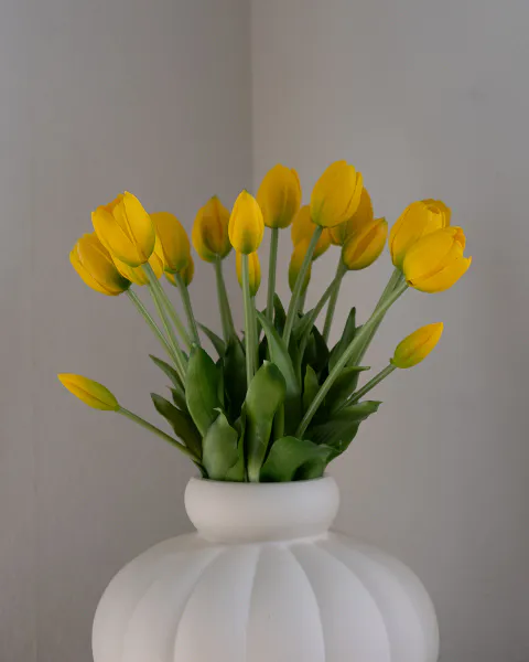 Hovedbilde Tulip Bouquet