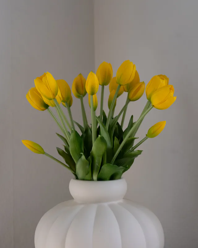 Tulip Bouquet