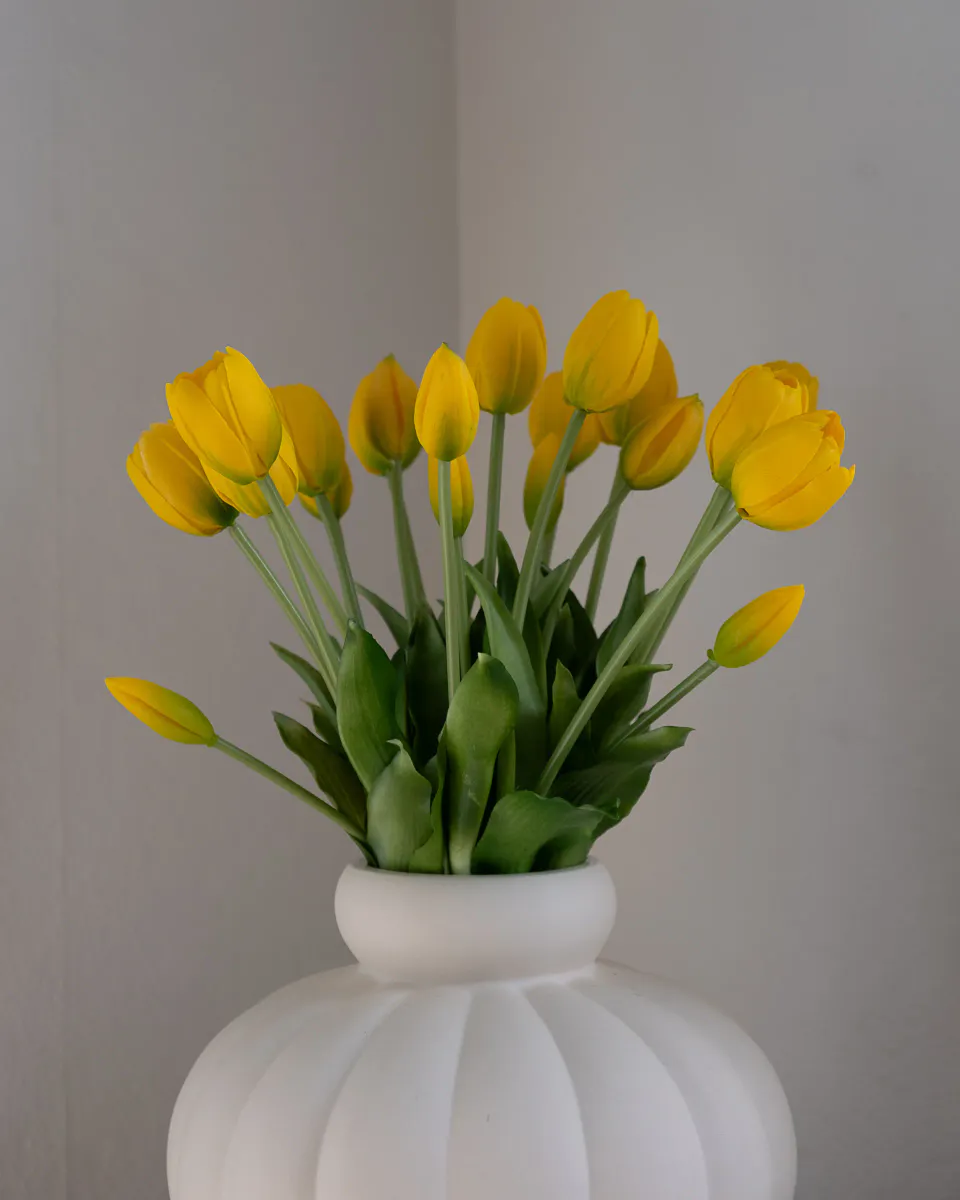 Tulip Bouquet