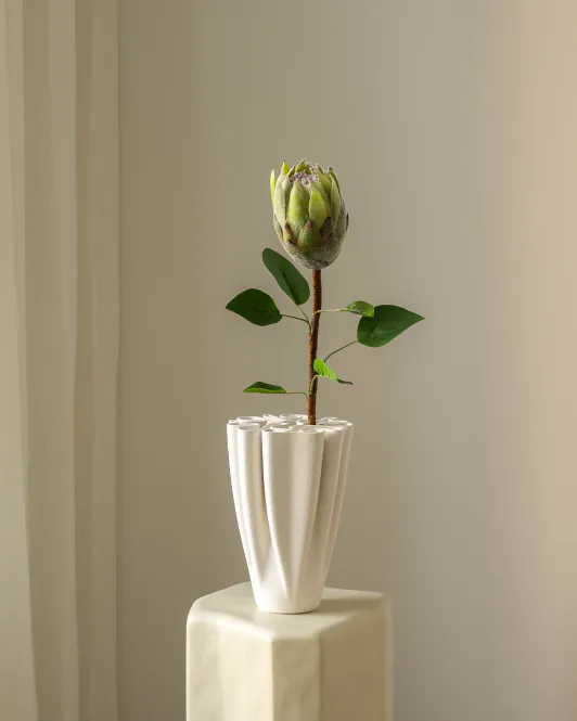 Hovedbilde King Protea Green