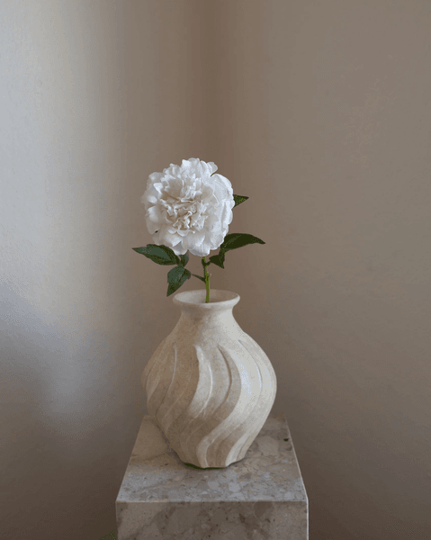 Hovedbilde Peony Flower