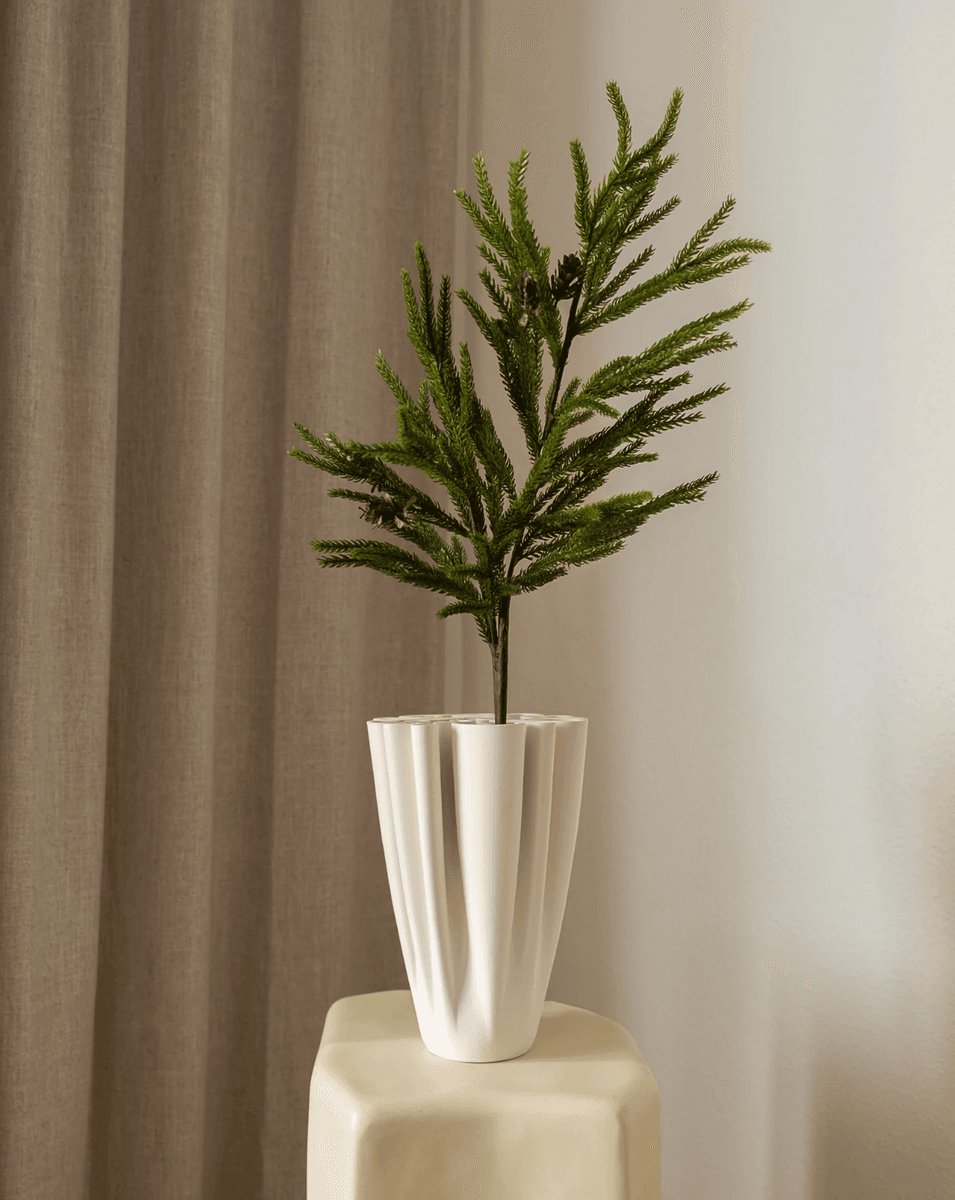 Pine Needle Tree Branch