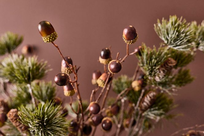 Hovedbilde Silkeblomst Eikenøtt Grønn/Brun L100cm