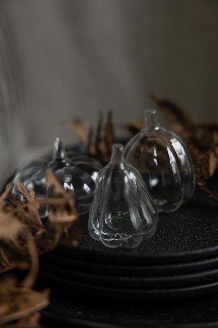 Hovedbilde Edstorp Glassgresskar