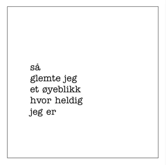 Hovedbilde Sögne Serviett - 
