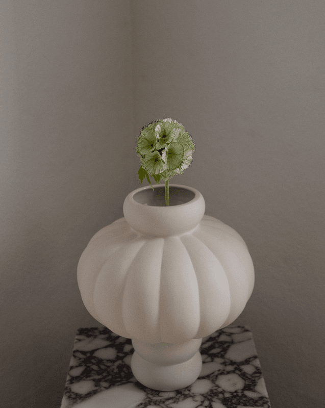 Scabiosa Seed Pod Flower