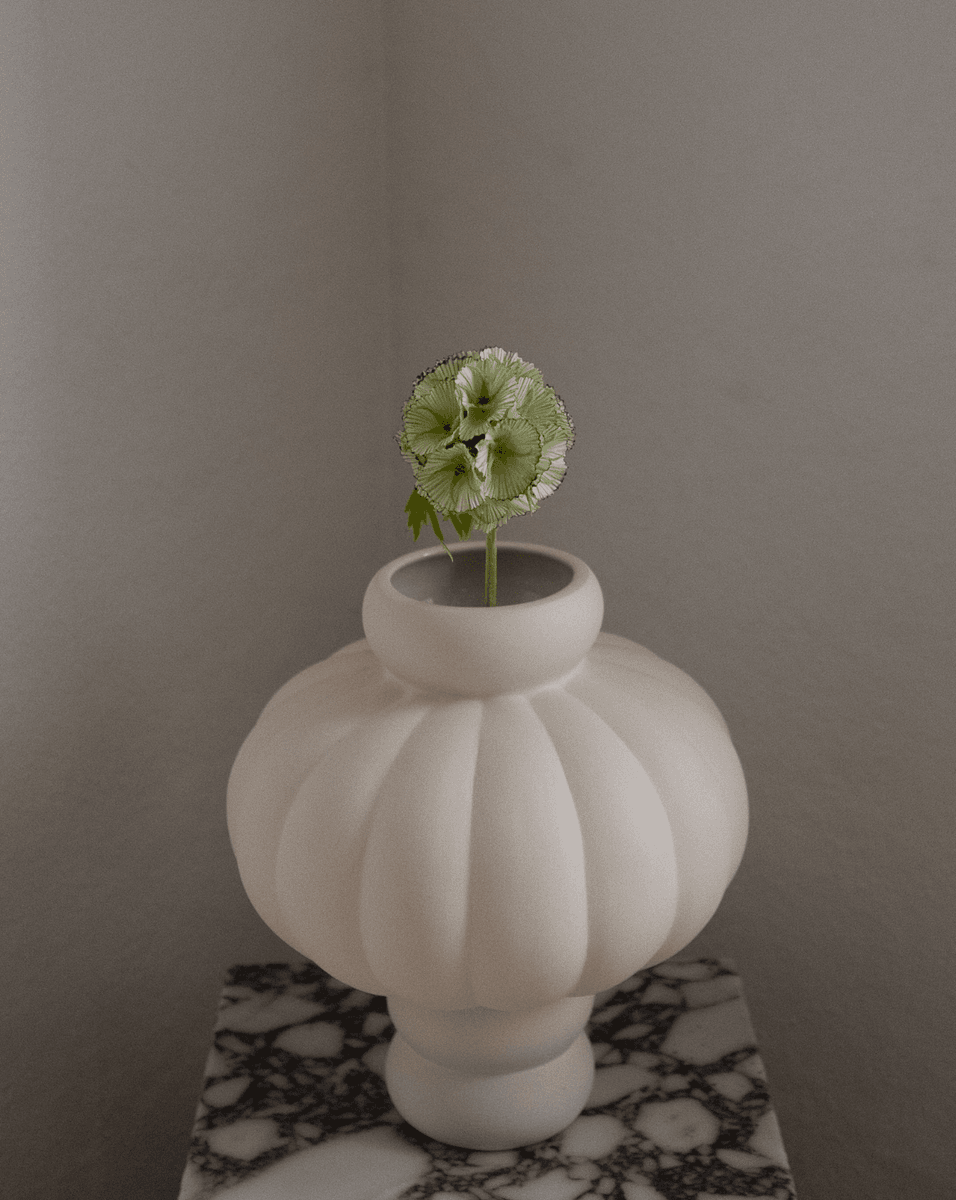 Scabiosa Seed Pod Flower