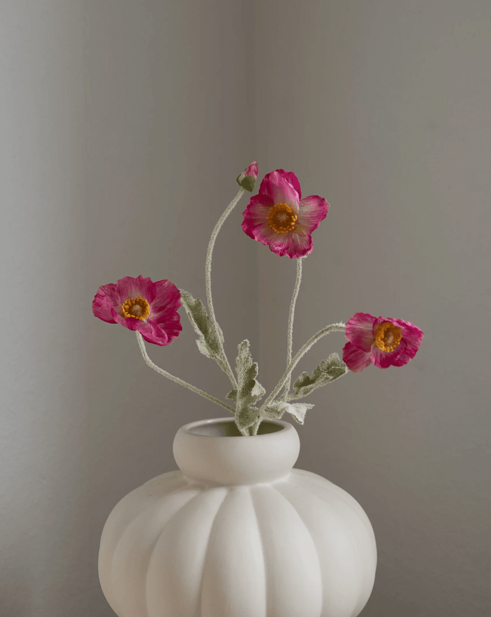 Poppy Flower