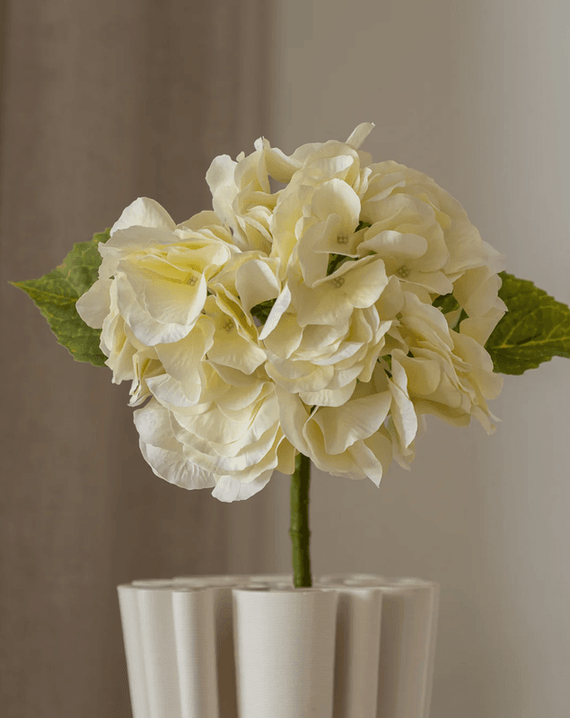 Hydrangea Flower