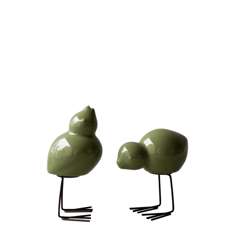 Swedish Birds