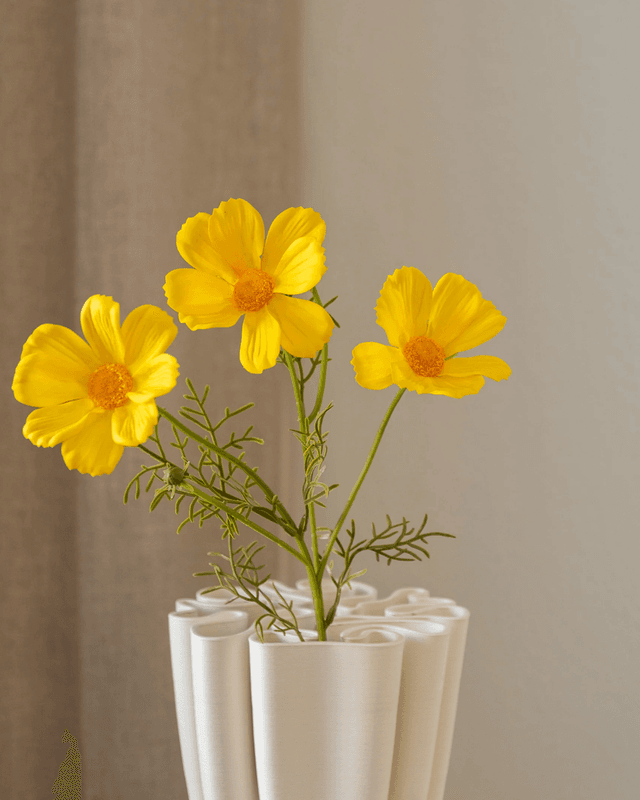 Cosmos Flower