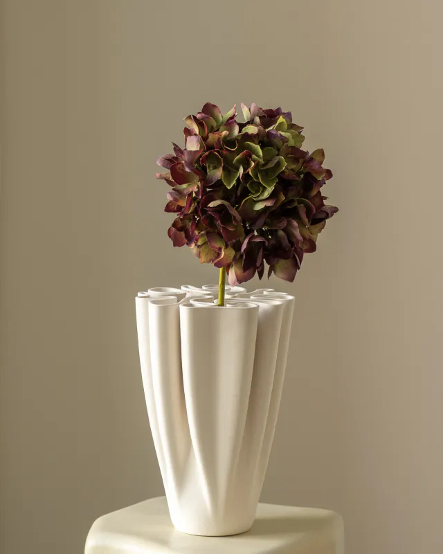 Hydrangea Burgundy Green